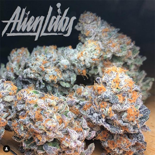 Alien Labs 1G Flower sold in store and online by iLyfted