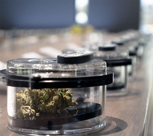 Weed store near Colfax Ave, Studio City offers marijuana flower and other cannabis products.