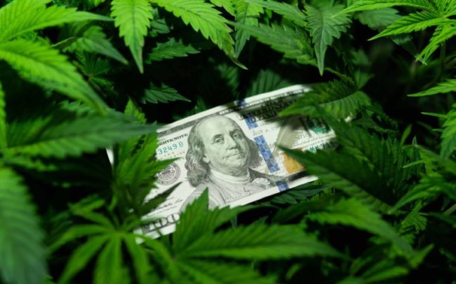 The,Economy,Of,Hemp,Industry.,Tax,On,Weed.,Money,And